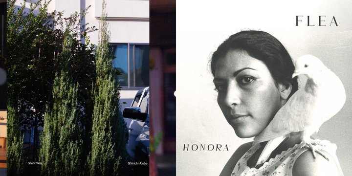 �yQobuz�X�g���[�~���O�����L���O�z�d�q���y��Shinichi Atobe�́wSilent Way�x�^���b�`���E�t���[�̃\����i�wHonora�x�������N�C���I