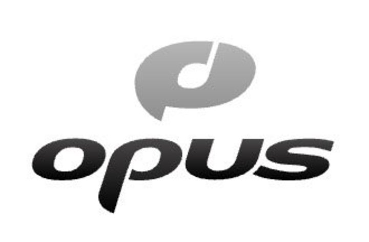 Google��ẮuOpus HD�v�R�[�f�b�N���u�n�C���]�I�[�f�B�I���C�����X�v�F�؎擾