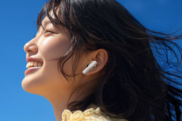 �r�N�^�[�A5500�~�̊J���^���S���C�����X�C���z���uHA-A4T�v