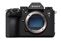 \j[u9 IIIv͗オɂ₩Blq ~[XJ؃LO1