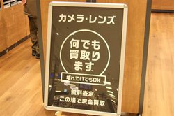 ÃJX̏]C[WVBgVJ̃L^h|Vȃ`W