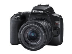 LmAEŌyʂ̃fW^჌tuEOS Kiss X10vBCur[BeAF\i