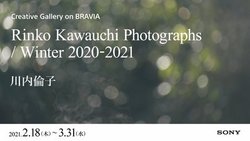 \j[ABRAVIAŊy߂ICʐ^WuCreative Gallery on BRAVIAv2/18J