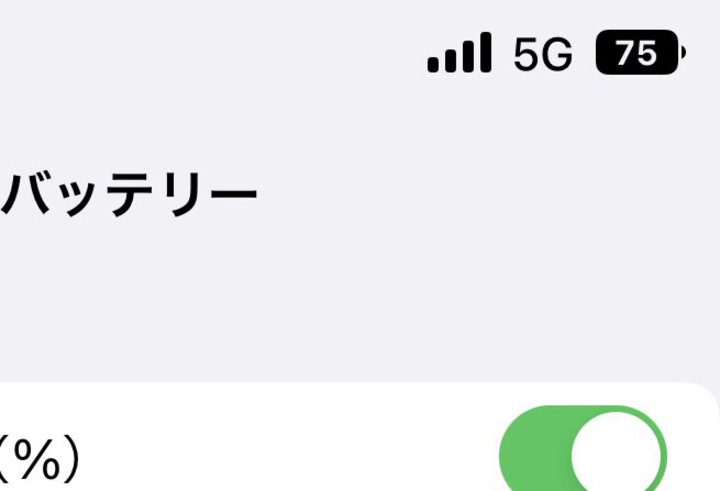 iPhone 12/13 miniXRłobe[cʁuvBiOS 16.1