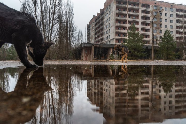 ˔\̃`FmuCӁA쌢́uivĂ\