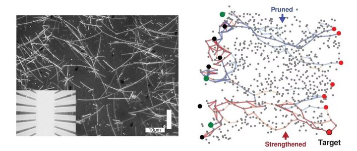 imC[lbg[ŃAqg̔]Ɠ悤ɊwKELłƂ