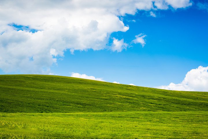 Windows XP̔F؃VXeA20NŊS˔j