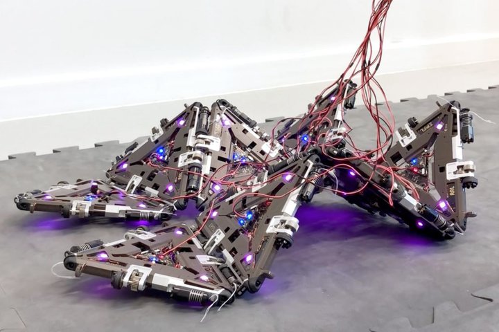 Op̃W[́Ag݂ɕό`hł郍{bgB̎dǵ݂H