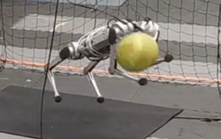 MITJ{bgL[p[Aj~͋ق87.5BvƐ키߂H