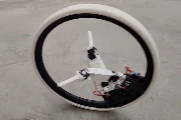 wX^[EEH[Yx̏蕨璅zA2{mzC[{bguRingbotv