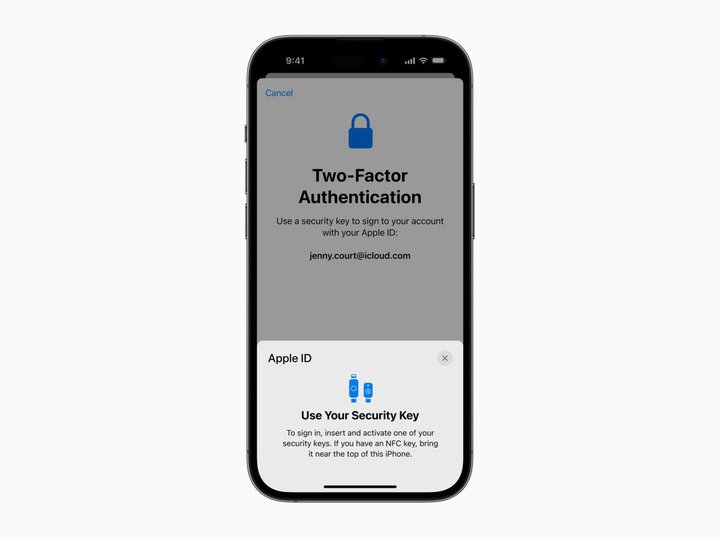 Apple IDIȃZLeBL[ɑΉBŒ2Kvŏn[h