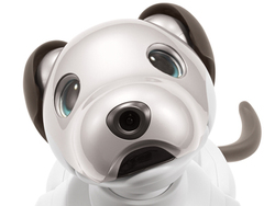 �V�uaibo�v�A���Y�o�ׂ��݌v11,111���B���B���Y�E�T�[�r�X�͍�����g��