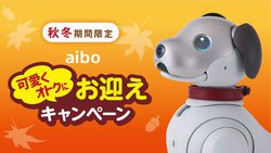 \j[uaibovɊeT[rX₨ZbgɂwIgNɂ}Ly[x