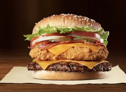 o[K[LOoXANɑS11X܃I[vBNȍ~ϋɏoX