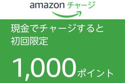 AmazonA`[W1000|CgҌȂǊeLy[{