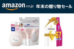 Amazon̔NZ[AƊpiŔ߂̃`XI