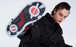 ʃC_[`[t̃ApuhAo_CoB555`[t̃Xj[J[Ȃ