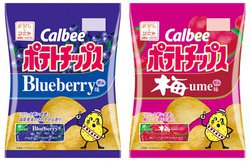 K̖|e`ōČBw|eg`bvX u[x[K / ~Kx