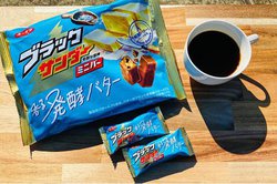 tČAlCo^[́uubNT_[~jo[锭yo^[v