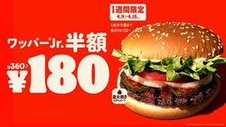 o[K[LO̊Ŕo[K[180~Iwbp[WjAxzLy[A4/9