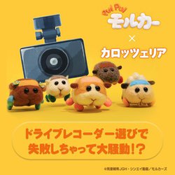 JbcFAAwPUI PUI J[xƃR{āuhRIт̔Y݉v