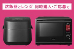 pi\jbNAΏۂ̐ъ/Wwōő25,000~̃LbVobNLy[