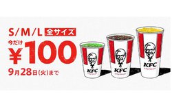 P^bL[AuhNSTCY100~vLy[APizbgR[q[