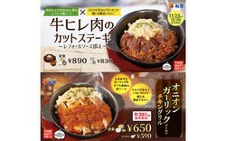 A{^{̒n胁j[11/23̔Jn