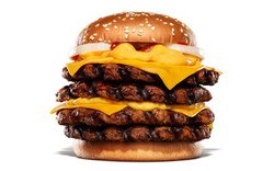 o[K[LOA499gΏĂr[t^Z`[ÝupEhr[t `[Yo[K[v