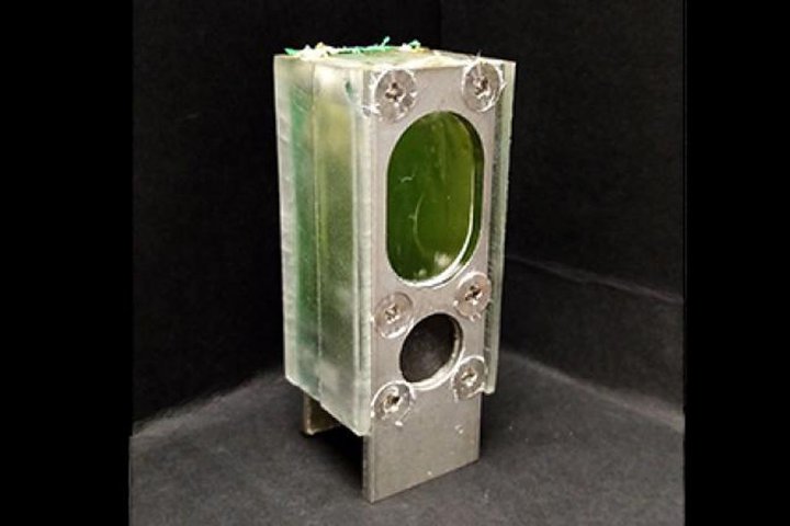 Ŕd鑔ނgdrAIoT@1Nȏ쓮\yGadget Gatez