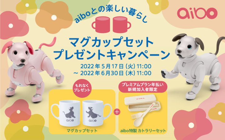 \j[uaibovA{̂ƃT|[gT[rX𓯎wŃIWi}OJbv炦Ly[