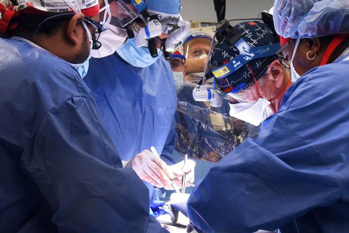 ؂̐SڐA̒jA܂sB^f̓ؓLECX͊m؂ȂyGadget Gatez