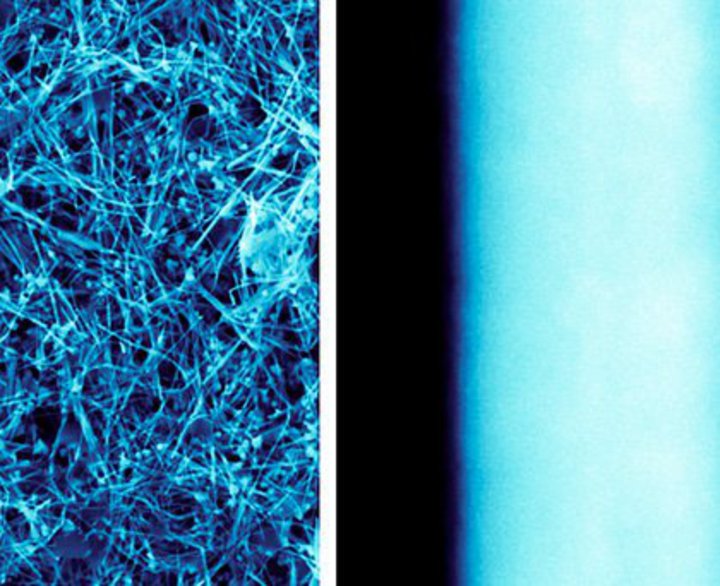 V^RiɂʁBtčRۃR[eBOuimC[Xv[vyGadget Gatez