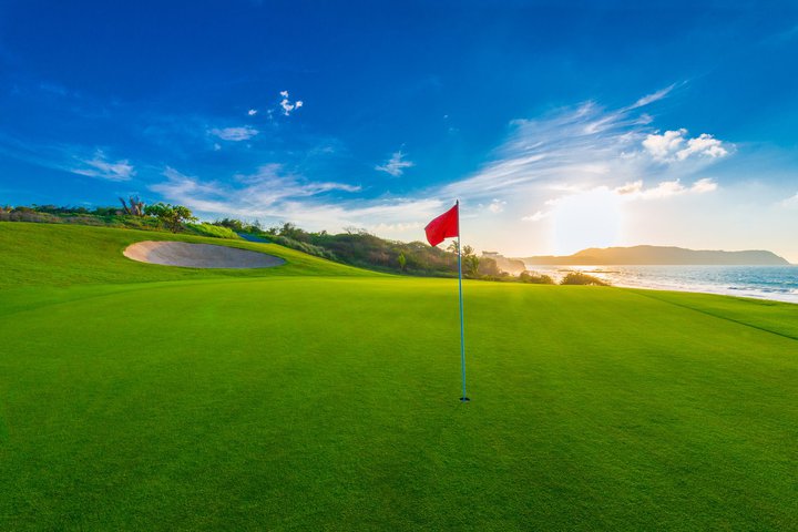 qvStAX[p[v[̓JBxՉAD؂̐S