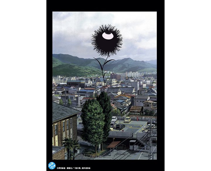 TVAjw̉؁xS13bYouTubeŖzMB5/25܂ł̊Ԍ