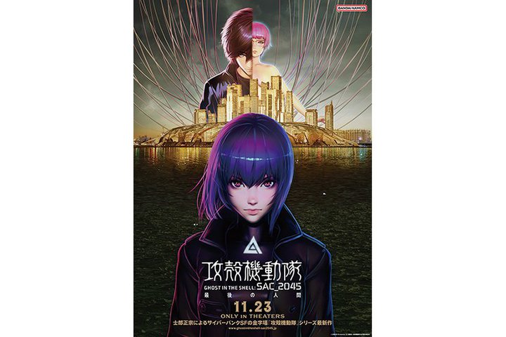 ŁwUk@ SAC_2045 Ō̐lԁxA11/233TԌfBV[Y2BD{bNX