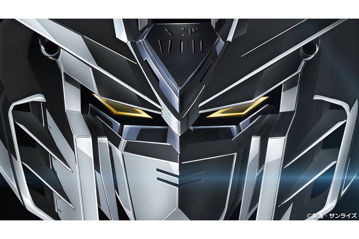 ꑛR̃AXoV[Aw@mK_SEED FREEDOMx̎̃tTCYMVJ