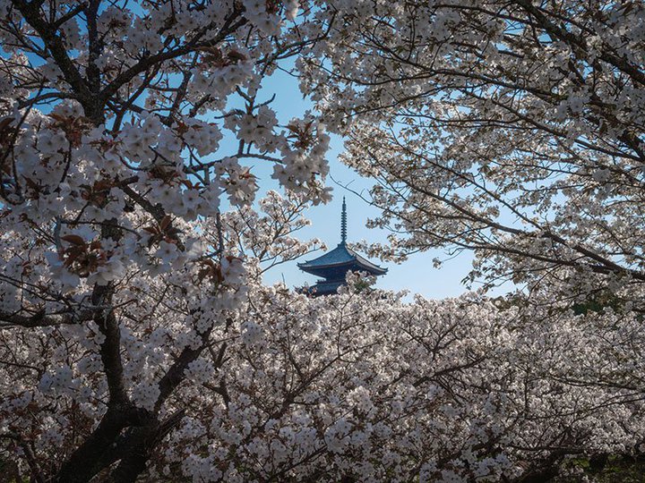 mã^CvXf100^4KOUŏfBuɂvWA3/9J