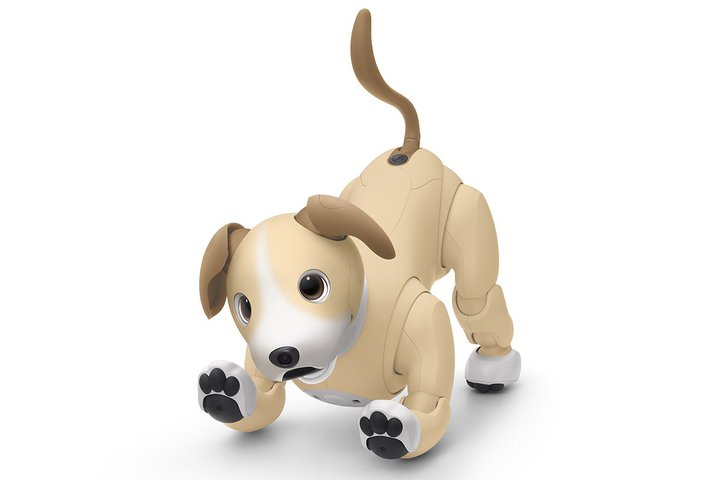 \j[Aaibo2024NJ[uȂGfBVvB7/27JẪt@~[eBOŏI