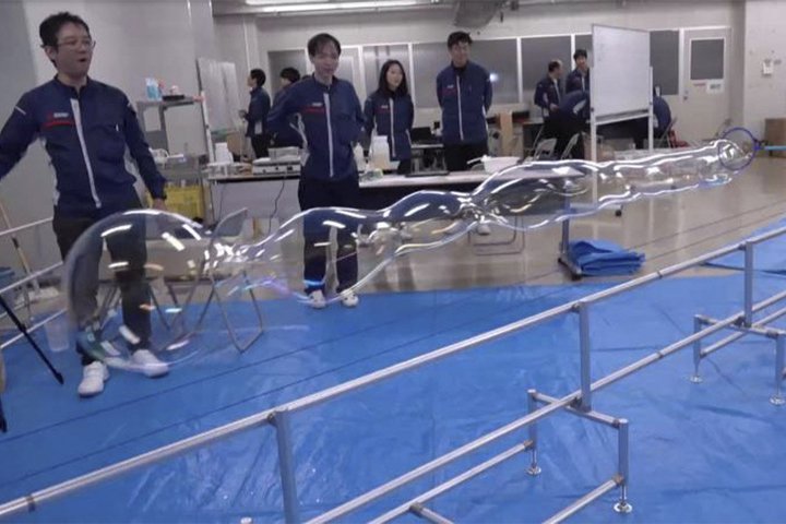 8/8\NHKu̖vɁuMHd@voBŹwV{ʃ[v V{ʐL΂x