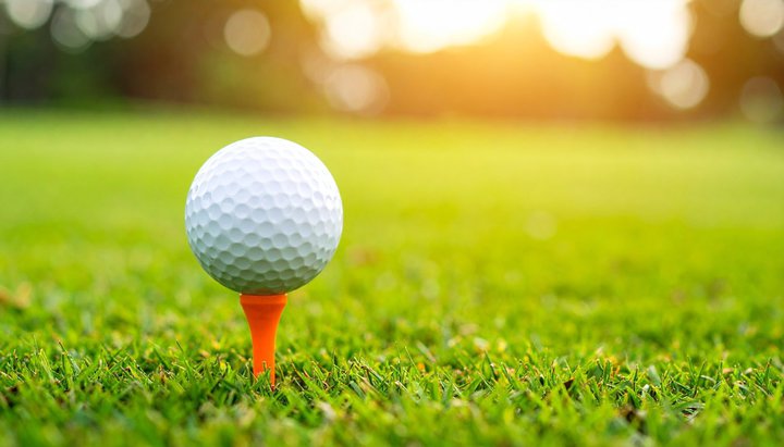 qvStu哌ElbgfBXvA7/244Ԃ̕EzM\