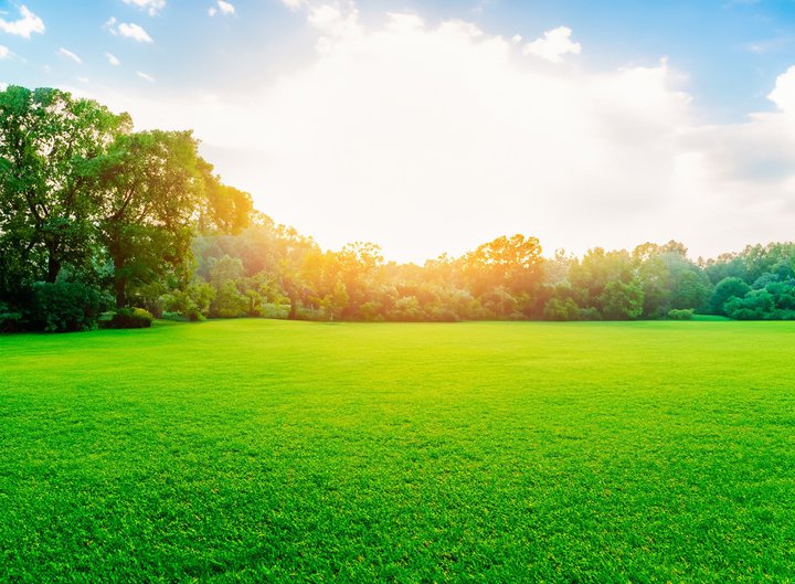 qvStujgfBXStg[igvA8284Ԃ̕^zM\