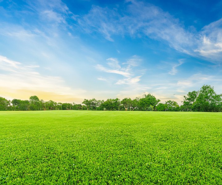 qvStu56ZFVitalityfBX CNVbNvA9/193Ԃ̕^zM\