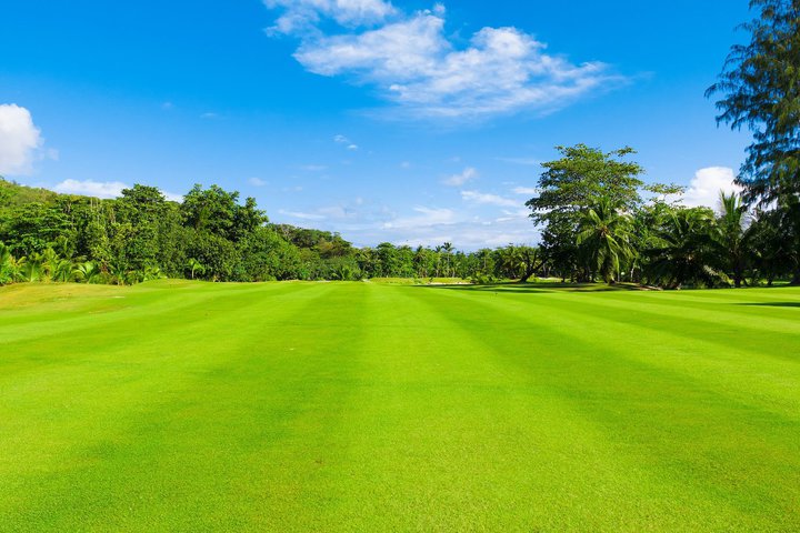 ���q�v���S���t�u��39��_�C�L���I�[�L�b�h���f�B�X�S���t�g�[�i�����g�v�A3/5����4���Ԃ̕����E�z�M�\��