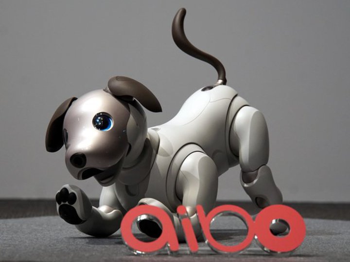 �\�j�[�A�uaibo�v�����̔����I��
