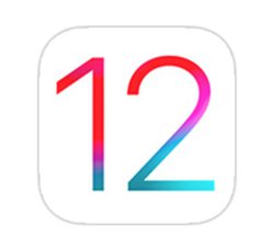 AbvAiOS 12.1{zMBO[vFaceTime70ނ̊G