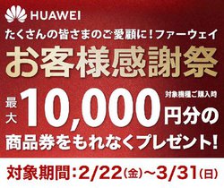 t@[EFCAX}zwōő1~̏i炦Ly[B331܂