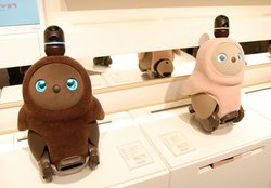 b̉Ƒ^{bguLOVOT[ڂ]v1XAVhu{eBNXX^WIvɒa