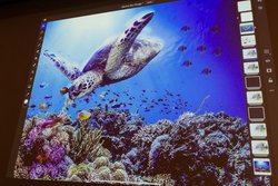 iPadŁuPhotoshopv\BiPadŁuIllustratorv̓N[Yhx[^Jn