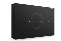 A&MO[vADAW\tguSequoiavƁuSamplitudev̍戵Jn